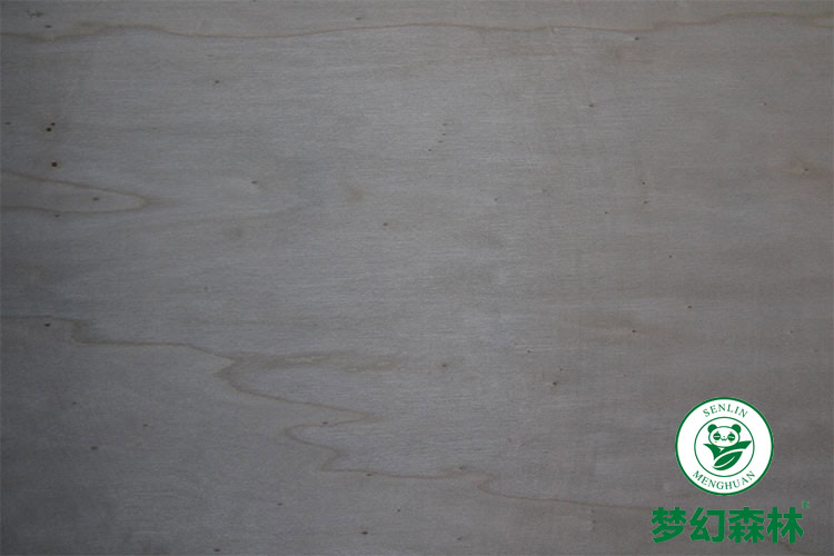 夢幻森林新花色